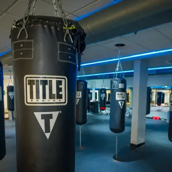 Franklin club punching bags